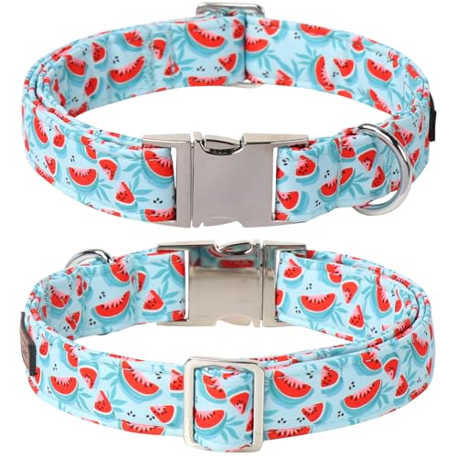 Watermelon Dog Collar with Bowtie (Watermelon / X-Small (Pack of 1))