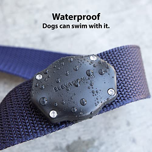 AirTag Dog Collar Holder (2 Pack (Standard))