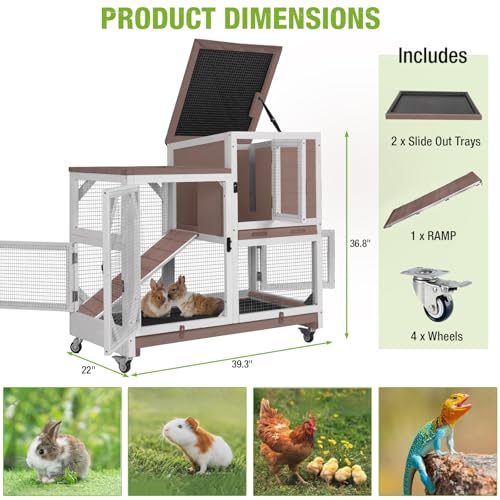 2 Story Rabbit Hutch with Chew