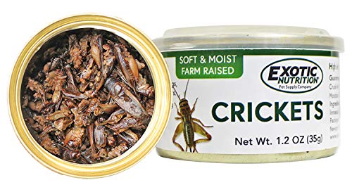 Canned Crickets