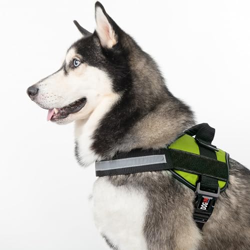 Dog Harness Reflective No (Lime Green / Girth 22" to 28")