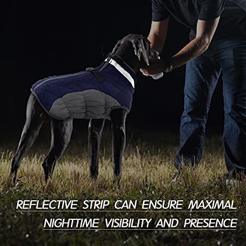 Dog Coat for Large Dogs (Blue / XXL(chest:35in))