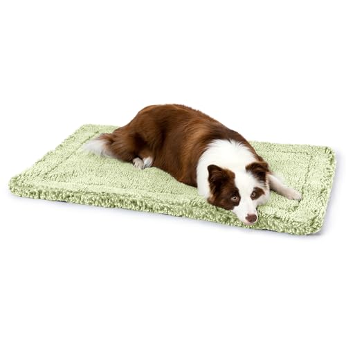 Stoutwool Indestructible Dog Bed (35.0"L x 22.0"W x 2"Th / Gleam)