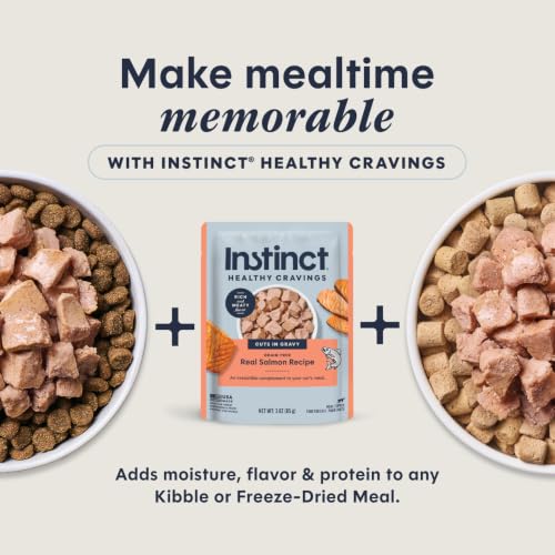Healthy Cravings Wet Cat Toppers (3 Ounce (Pack of 24))