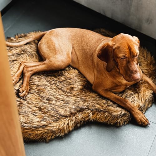 Faux Fur Orthopedic Dog Bed (Brown / Medium)
