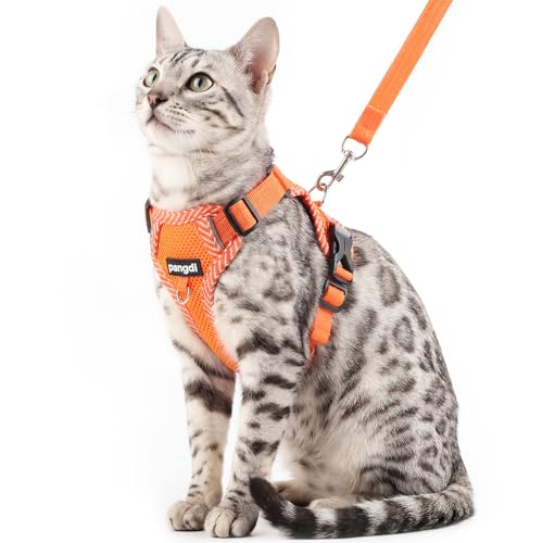 Cat Harness and Leash Set (Orange / Large)