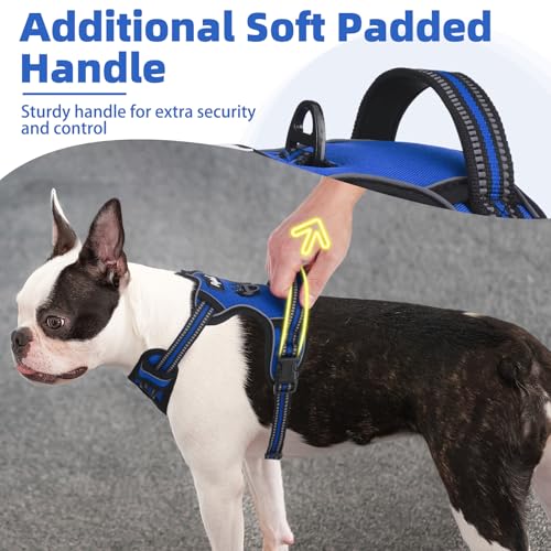 No Pull Dog Harness for Large (Blue / X-Large)