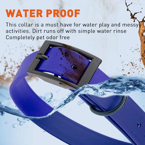 Biothane Waterproof Dog Collar Strong Coated Nylon Webbing with Black Hardware Odor (W1" x L22"-25" / Blueberry Royal)