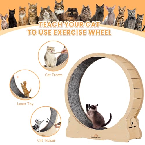 Cat Exercise Wheel for Indoor Cats (M / Natural Wood)