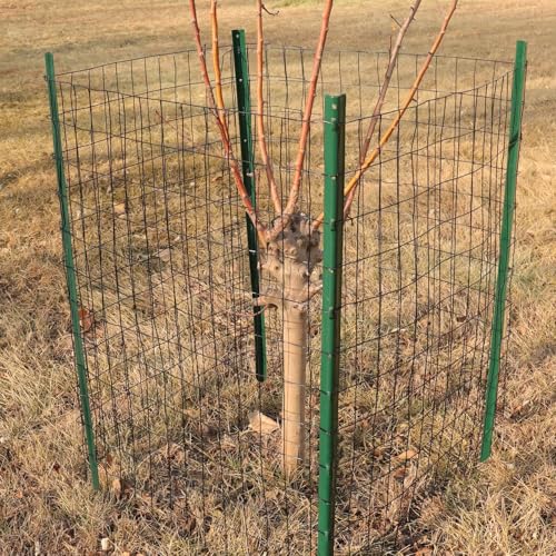 Black PVC Coated Welded Wire Fence 24" x 100' Roll (Black / 2''x3'' 16GA 24''x100')
