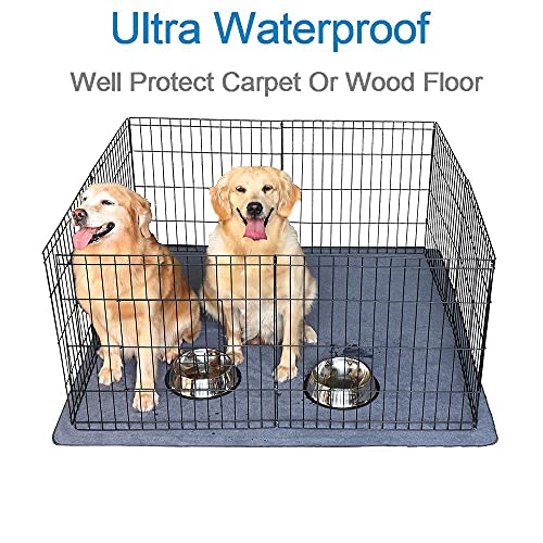 2PCS Pee Pads 54"x54" (54x54 Inch（Pack of 2))