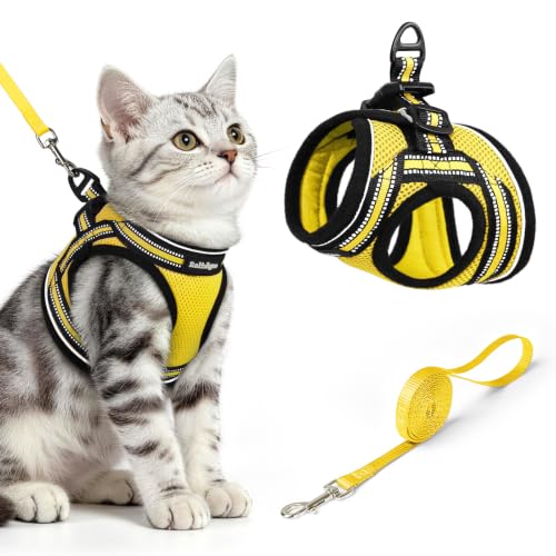 Cat Harness and Leash Set (M / Bright Yellow)