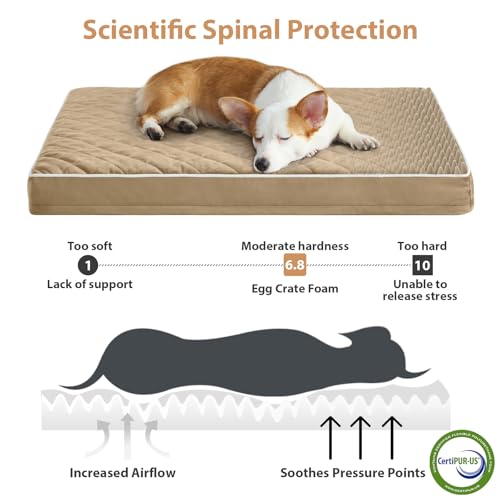 Orthopedic Waterproof Large Sized Senior Dogs Bed for Comfy Sleep (brown / 36"L x 27"W x 3"Th)