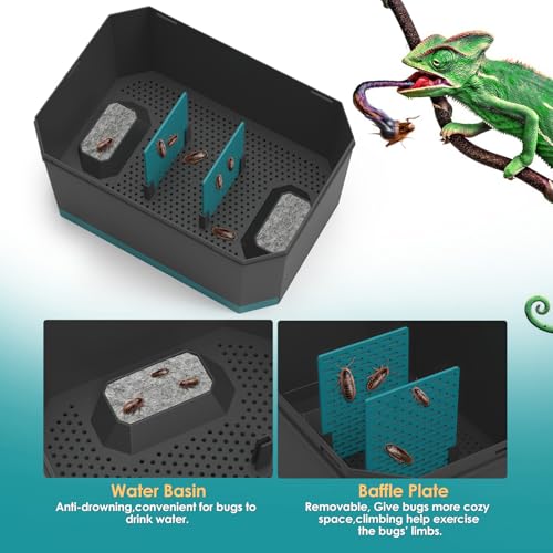 Multi Purpose Insect Habitat for Crickets