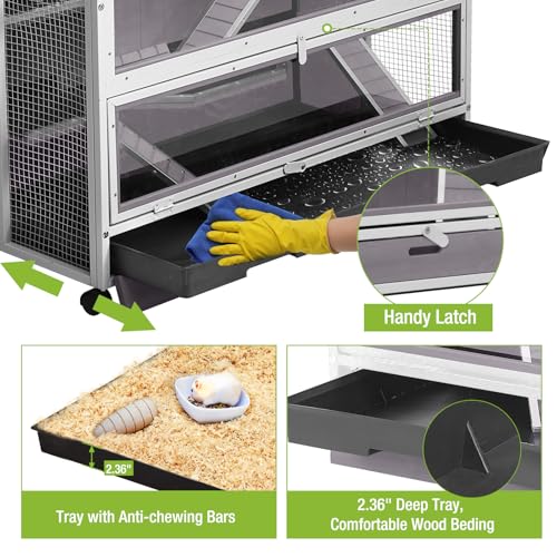 Guinea Pig Cages (White)