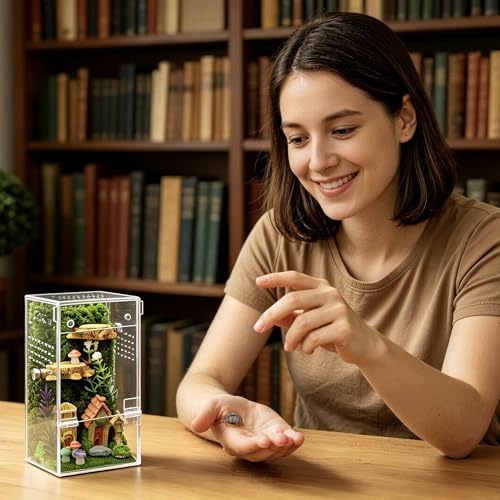 Jumping Spider Enclosure Starter Kit (Transparent / Small)