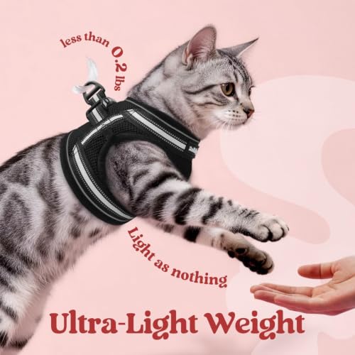 Cat Harness and Leash Set (S / Black)