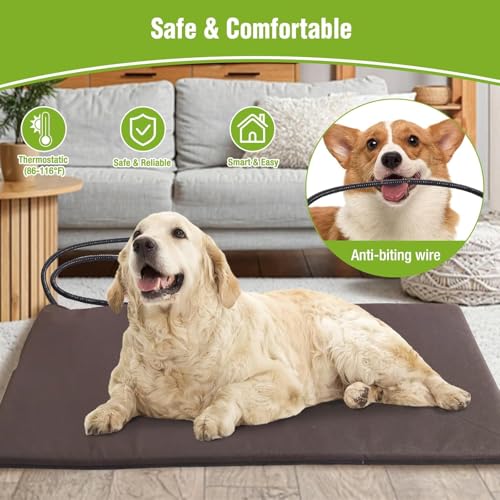 Dog House for Outdoor Use
