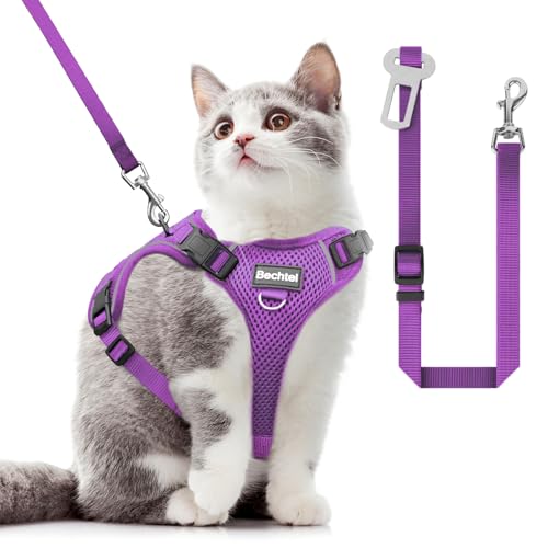 Cat Harness and Leash for Walking (Purple / X Small (4-6lb))