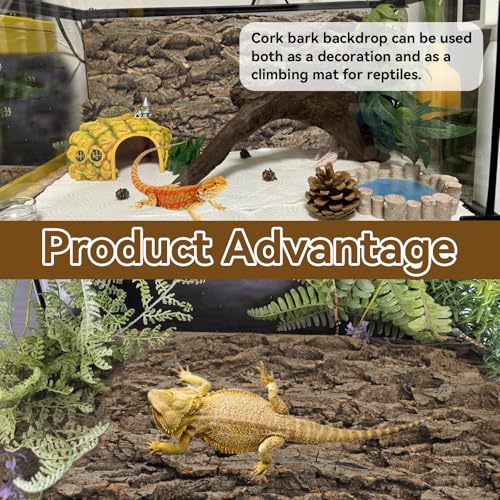 2PCS Natural Cork Terrarium Background (【11.81 x 11.81 In】)