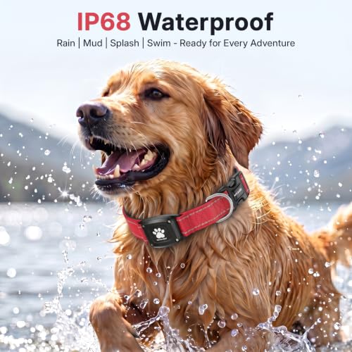 GPS Dog Collar with Tracker (Red / S(12.5''-16''))