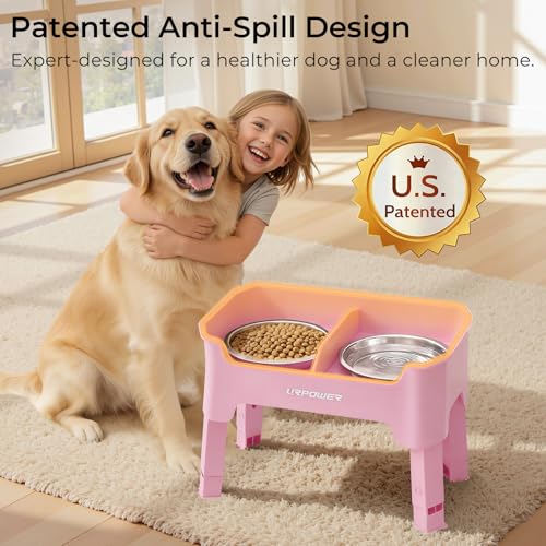 Mess Proof Elevated Dog Bowls (Pink / Medium)