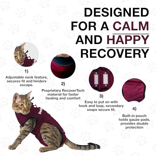 Cat Recovery Suit Female and Male (Maroon / Small)