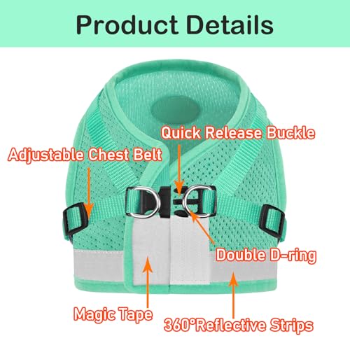 Cat Harness and Leash Set (L (Chest: 15" - 17") / Cyan)