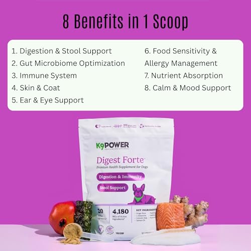 Digest Forte Advanced Digestive & Immune Support for Dogs (1 lb (Pack of 1))