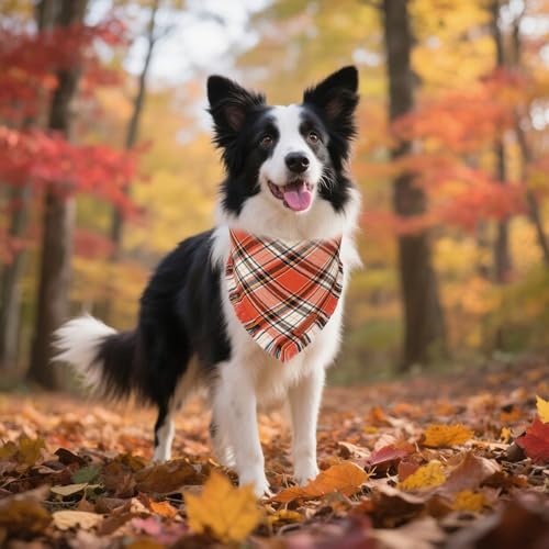 Fall Thanksgiving Dog Bandana (Large / Fall-2)