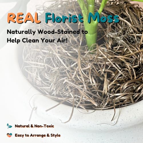 Original Hidden Litter Box Planter (White Birch)