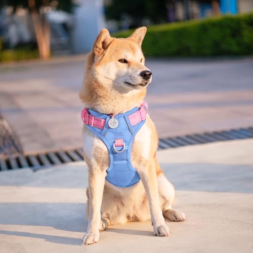 No Pull Dog Harness (Baby Blue Base & Pink Straps / Small)