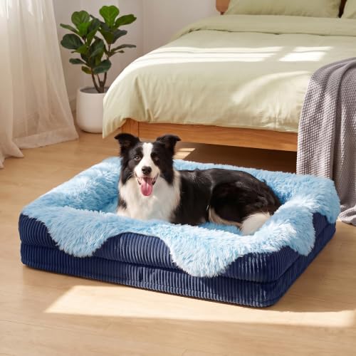 Orthopedic Dog Bed for Medium Sized Dog (Blue / 35"L x 25"W x 6.5"T)