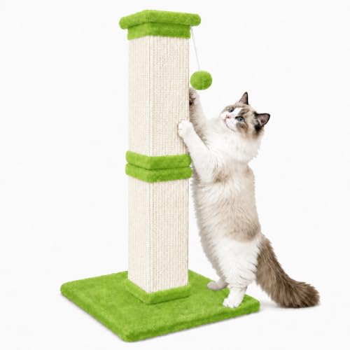 Vertical Cat Scratching Post for Indoor Cats (Green)
