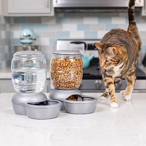 Replendish Automatic Cat and Dog Feeder (Pearl Silver Grey / 2 LB)