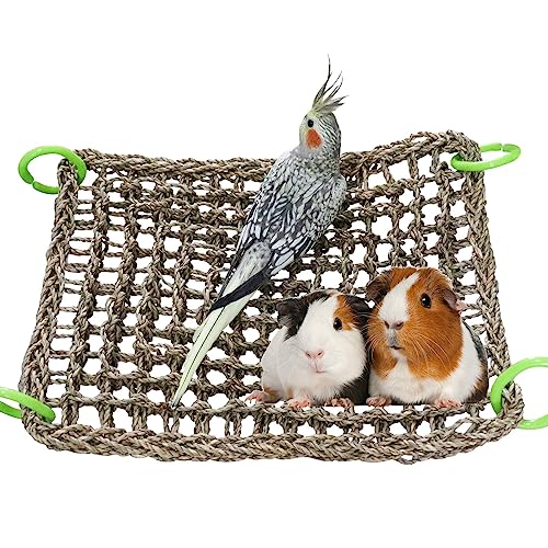 16 x 12 Inches Bird Seagrass Mat (16 x 12 Inches)