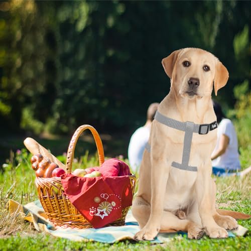 No Pull Dog Harness Medium Sized Step (Grey / Medium)