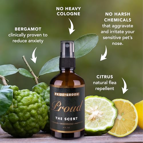Proud Long Lasting Luxurious Dog Grooming Spray & Pet Deodorizer with Uniquely Uplifting