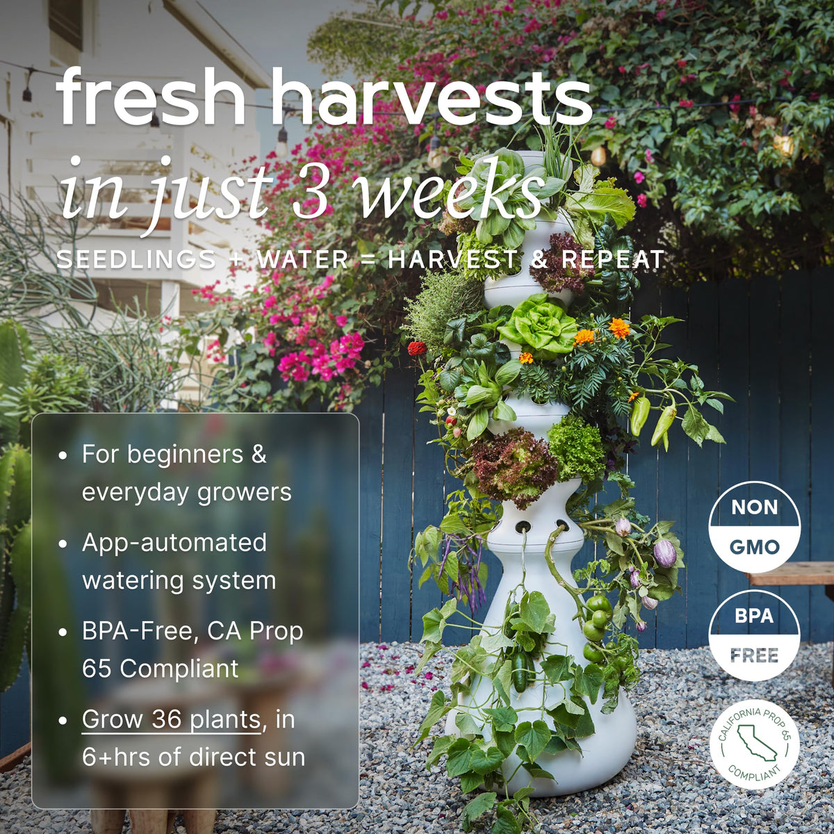 Farmstand Outdoor Starter Kit (36 Seedlings / Outdoor With Seedlings)
