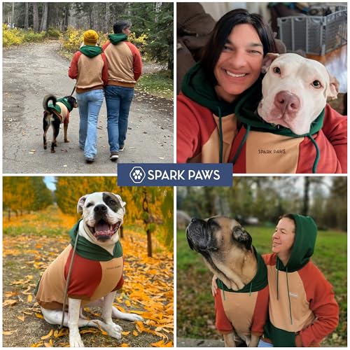 Dog Hoodie Buttery (Ranger / Small)