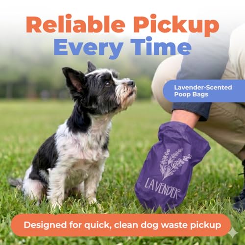 Poop Bags for Dogs (Purple (Lavender Scented) / 150 Bags)