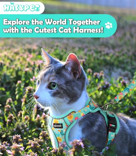 Cat Harness and Leash Set[MAX Safety 4th (H603 Pro Green Tropics / X-Small (4-6lb))