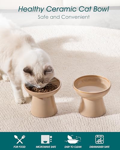 2 Pack Extra Wide Elevated Cat Bowls (Brown)