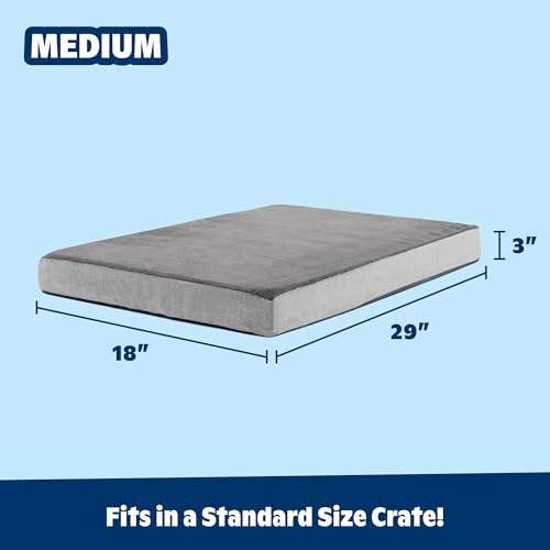 Orthopedic Dog Bed (Grey / Medium)