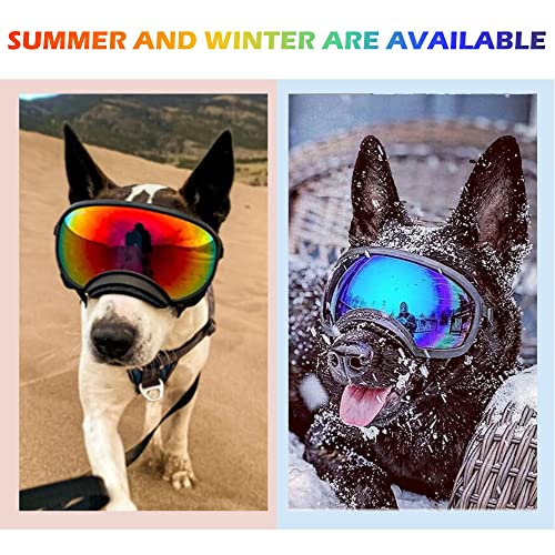 Large Dog Sunglasses
