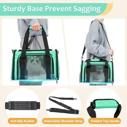 Cat Dog Carrier Up to 15 Lbs TSA Airline Approved Pet Carrier for Small Medium Cats Puppies Dog Carriers for Small Dogs Collapsible Soft Sided Cat Travel Carrier (15.8"L x 10.2"W x 10.2"H / Green)