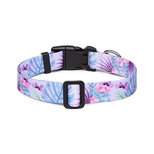 Adjustable Dog Collar (Small / Floral Purple)