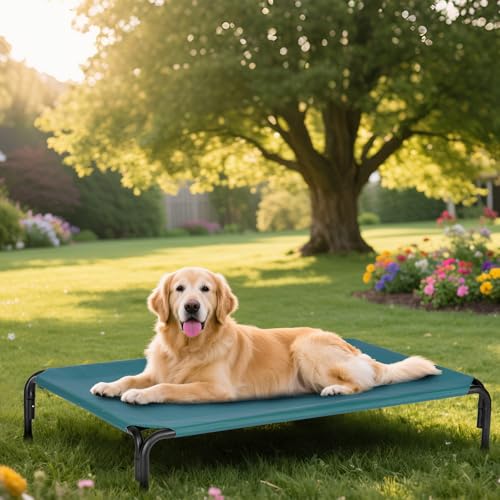 Elevated Dog Bed for Outdoor (Green / 41"L x 27"W x 8"Th)