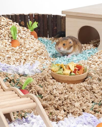 Hamster Snack & Treats Toy