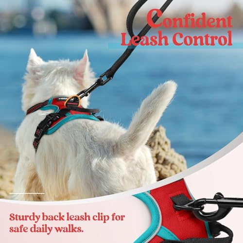 Dog Harness No Pull for Small Dogs with 2 Leash Clips (X-Small / Red & Teal)